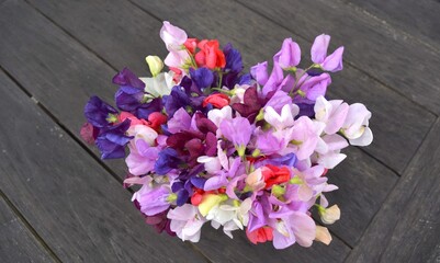 Bright Sweet pea flowers on black wooden table.