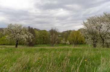 Spring landscape on a cloudy day