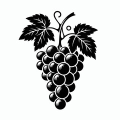 Grape silhouette vector illustration White Background