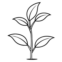 Growing plant logo icon vector illustration