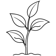 Growing plant logo icon vector illustration