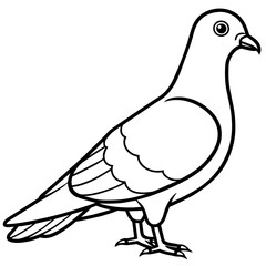 illustration of a pigeon logo icon vector fills