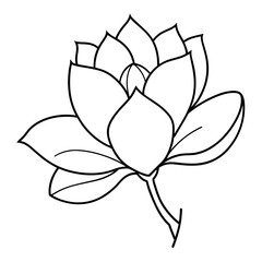 Obraz premium lotus flower vector Magnolia & vector single set of flowers illustration