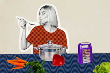 Composite photo collage of chief woman cook dinner boil meal pot vegetables kitchenware hobby diet healthy isolated on painted background