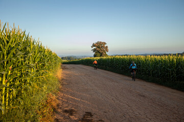 Ciclistas passando por Estrada rural, Plantação de Milho e céu azul