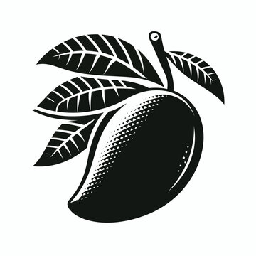 recommend clip art: mango silhouette vector illustration White Background