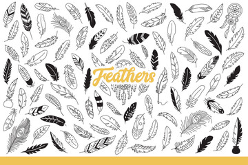 Light feathers of different birds for decorating clothes or using instead of ink pen. Set of beautiful feathers floating in air and amulets made from plumage of wild fowl. Hand drawn doodle