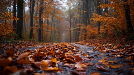 crisp autumn leaves cover the path in a dense forest - obrazy, fototapety, plakaty
