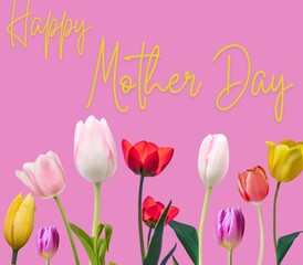 Happy mother day card with tulips