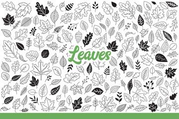 Leaves from forest trees of various types that have fallen in autumn season. Leaves of forest bushes and plants symbolize purity of environment due to abundance of vegetation. Hand drawn doodle