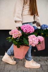 Bouquets of pink and blue flowers in the hands of a hidden face girl - 791937921