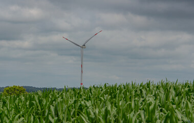 Windkraftanlage hinter einem Maisfeld