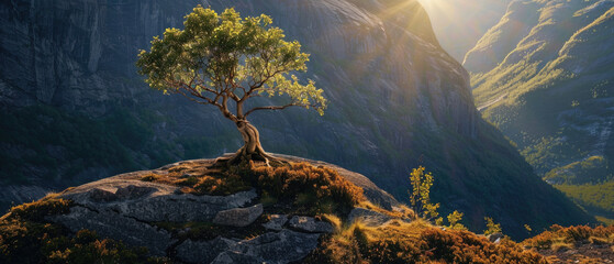 Mountain landscape with tree at sunset in summer, scenic lonely pine against sun, panoramic...