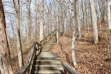 The old wood stairs on the trail in the forest.