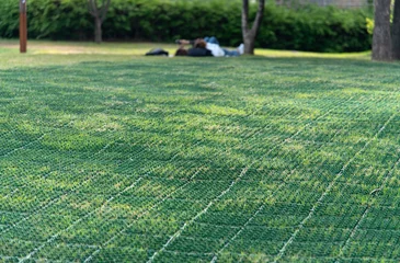 Foto auf Alu-Dibond View of the people relaxing on the lawn in the park © 안구정화