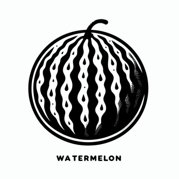  Watermelon silhouette vector illustration White Background