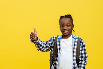 Cute african american schoolboy in checkered tshirt looking happy