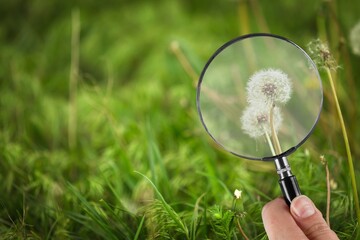 hand hold magnifying glass on green nature background