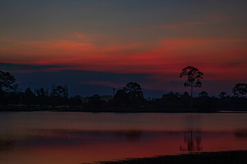 The amazing silhouette of trees formed by the sunset sun