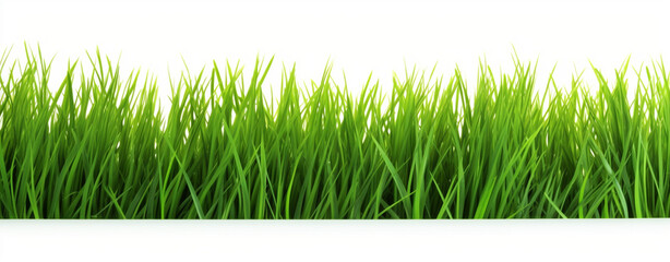 green grass isolated on white background stock photo сreated with Generative Ai