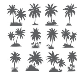 vector set of tropical palm and tree silhouettes. EPS ,Set tropical palm trees with leaves, mature and young plants, black silhouettes isolated on white background. Vector