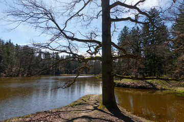 Pruhonice, Czech Republic - March 29, 2024 - the Labeska Pond in the Pruhonice Park near Prague at...