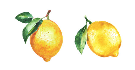 Lemon , set of lemons on a transparent background , citron, watercolor illustration, lime , fruit, lemons and leaves, citrus - obrazy, fototapety, plakaty