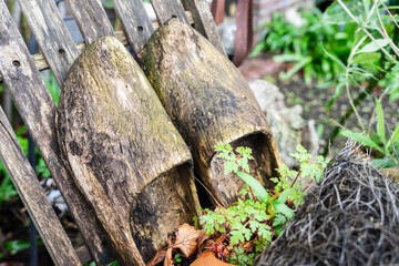 Obraz premium old wooden clogs, Zaanse Schans, Zaanstad Municipality, European Route of Industrial Heritage, Netherlands