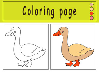 Coloring page_11