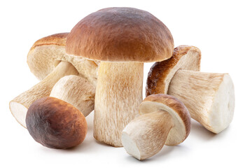 Group of porcini mushrooms isolated on white background.