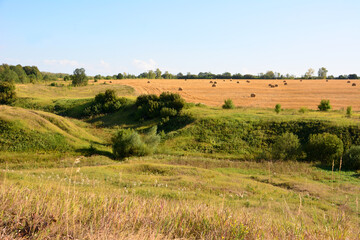 Obraz premium a field with hay bales and trees in the background copy space