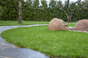 Green grass and stone path in the park. Natural green background.