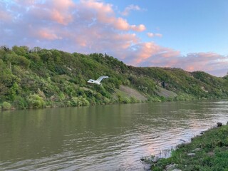 Ein schöner Abend im Frühling an der Mosel bei Sonnenuntergang in Kröv - 791968510