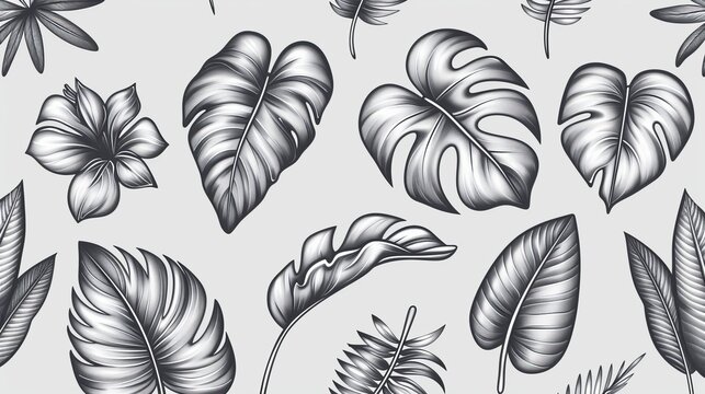   A collection of tropical leaves in black and white against a light gray backdrop Budget-friendly free stock photo Free stock images - budget