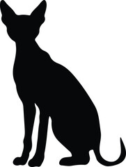 Peterbald Cat silhouette