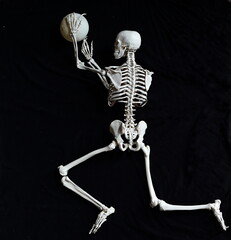 Das menschliche Skelett vor schwarzem Hintergrund