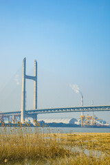 Shanghai Pudong New Area-Minpu Bridge