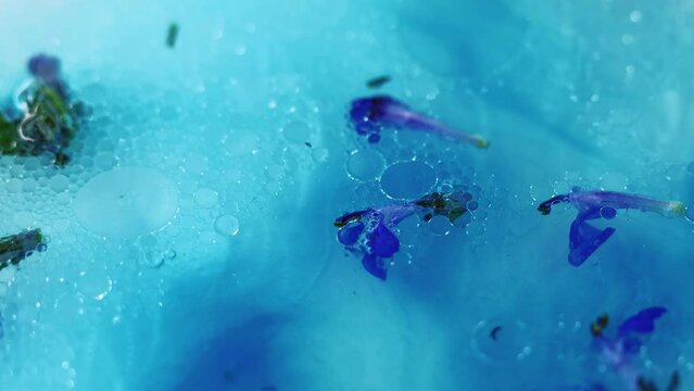 Floral essence. Gel bubble. Defocused blue purple violet color liquid with scented petals natural aroma oil round fizzy abstract background.