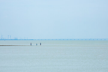 Hengsha Island, Chongming District, Shanghai-Wetland Scenery