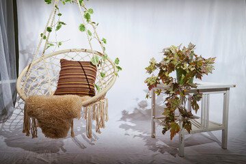 A modern cozy beautiful room with a braided rope macrame chair, green plants, small table and...