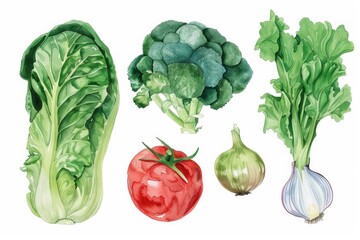 Watercolor vegetables illustration