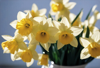 daffodils macro gifts Kyiv Europe concept holidays focus background light Ukraine yellow Selective events Bouquet The close Flower Nature Easter Spring Birthday Gift FloralFlower Nature Easter Spring'