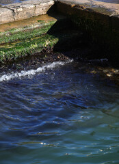 steps covered in algae during low tide on the island of Venice in Italy