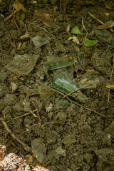 Kyiv, Ukraine. April 21, 2024. On a day off, people gathered in Holosiivsky Park to clean up so that animals live in a clean environment. A lot of garbage was removed from the park.