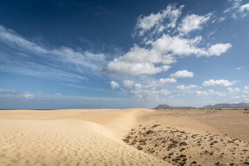 Fototapeta na wymiar Parc naturel de Corralejo - Fuerteventura - Iles Canaries