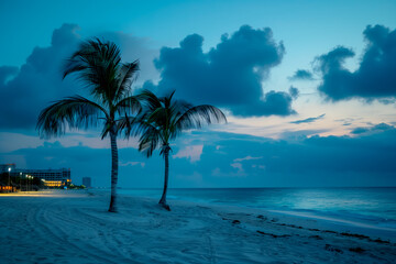 Two palm tree stands tall on sandy beach at night