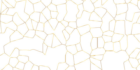 Abstract white crystalized broken glass background .black stained glass window art vector background . broken stained glass golden lines geometric pattern .