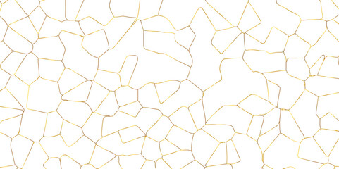 Abstract white crystalized broken glass background .black stained glass window art vector background . broken stained glass golden lines geometric pattern .