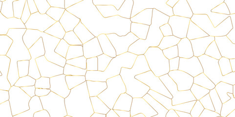 Abstract white crystalized broken glass background .black stained glass window art vector background . broken stained glass golden lines geometric pattern .