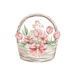 Fototapeta na wymiar Cute vintage rustic wicker basket with bouquet various ped pink flowers and green leaves set composition isolated on white background. Watercolor hand drawn illustration sketch